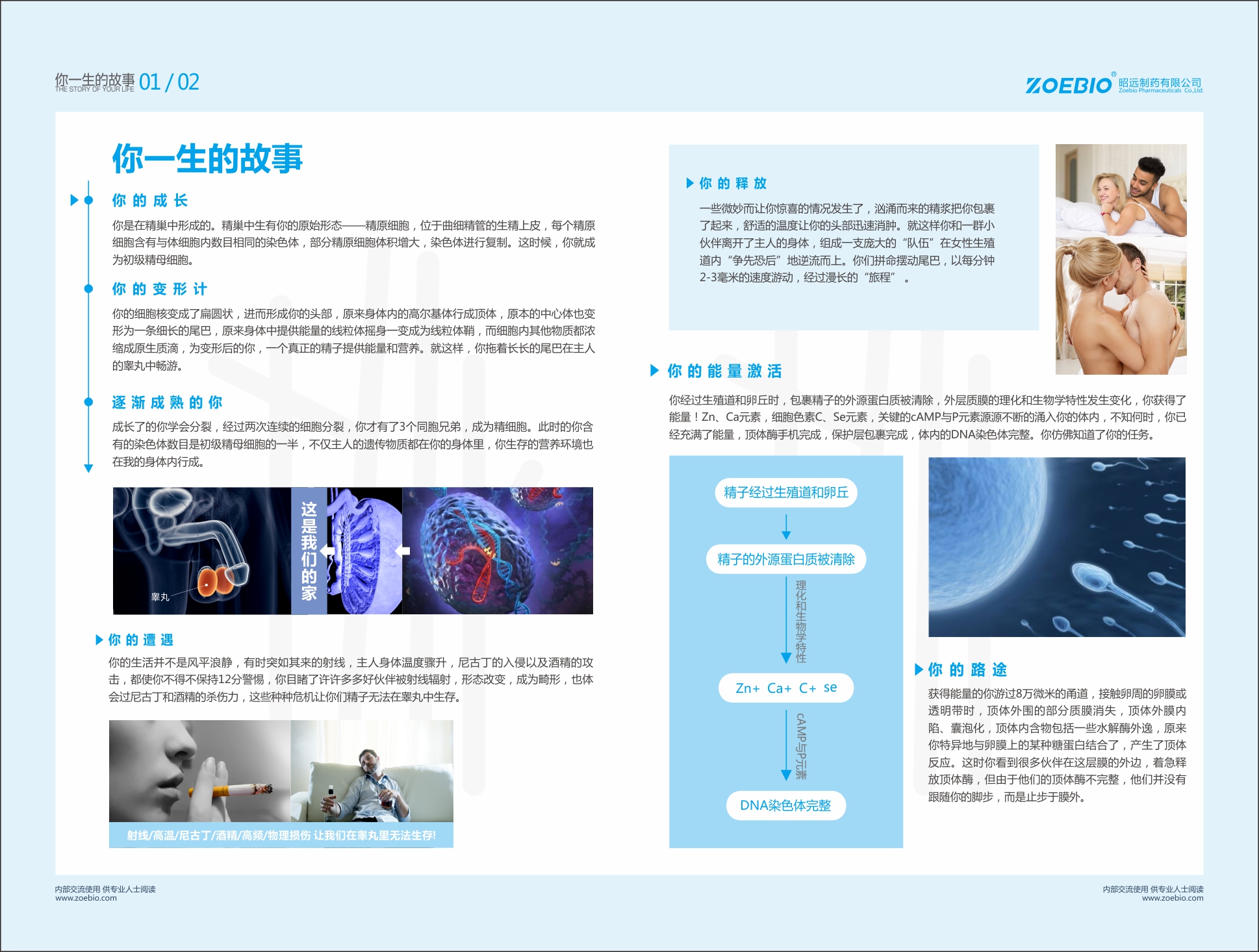 任你博·(中国)官方网站