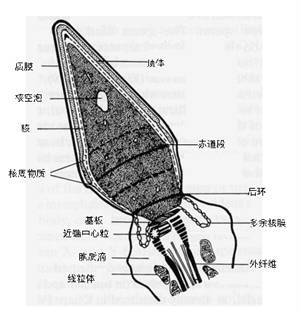 任你博·(中国)官方网站