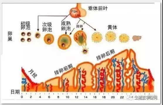 任你博·(中国)官方网站