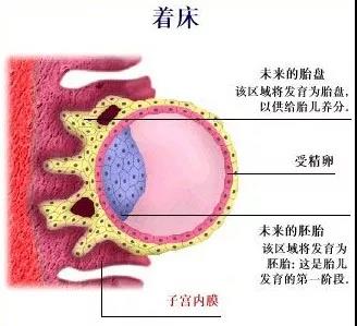 任你博·(中国)官方网站