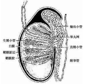 任你博·(中国)官方网站