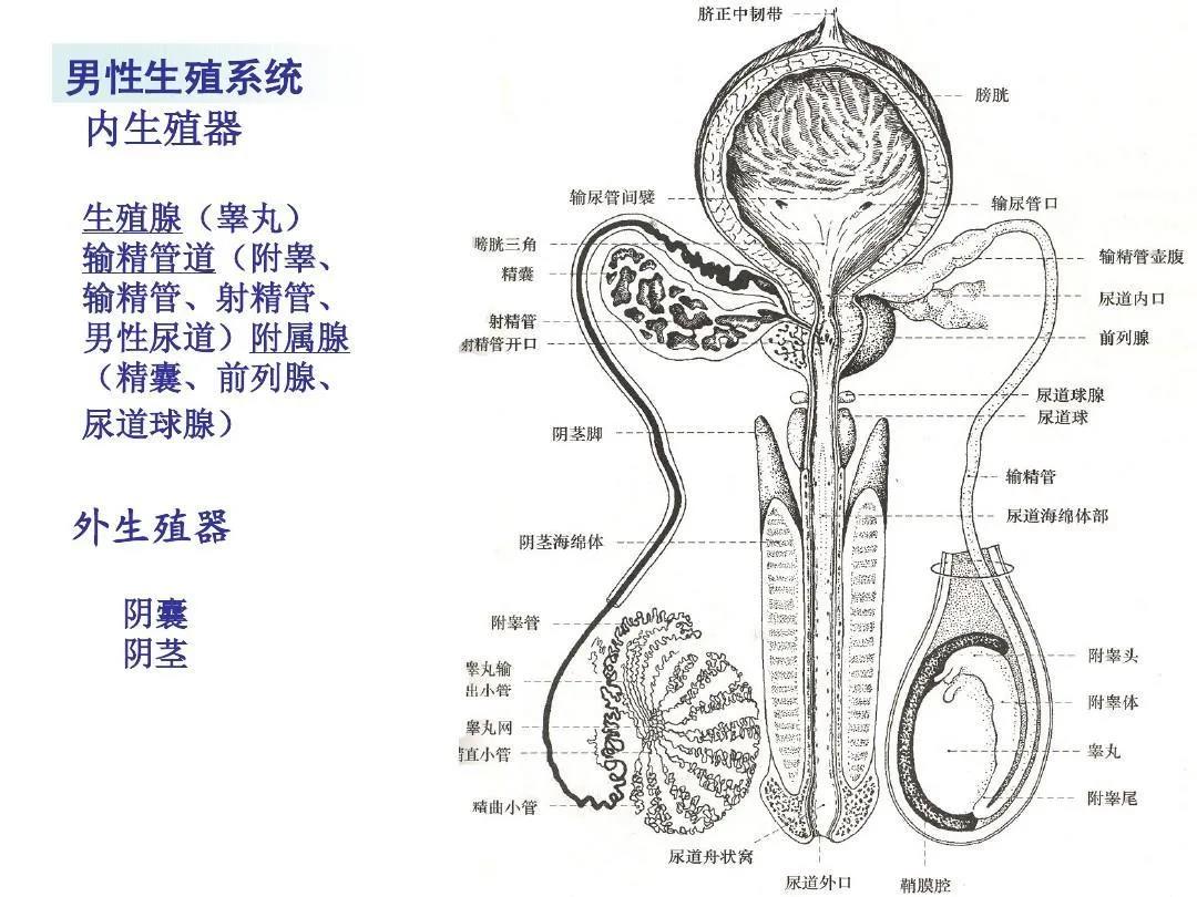 任你博·(中国)官方网站